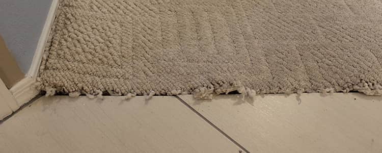 Best Carpet Repair Essendon