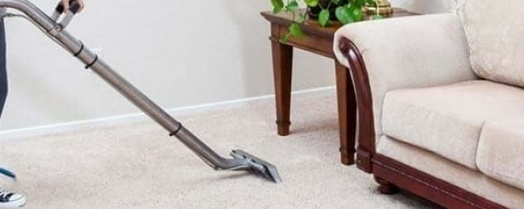 Best End of Lease Carpet Cleaning Essendon