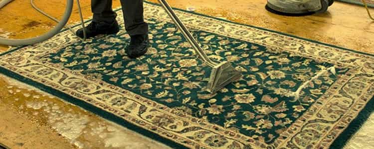 Best Rug Cleaning Essendon
