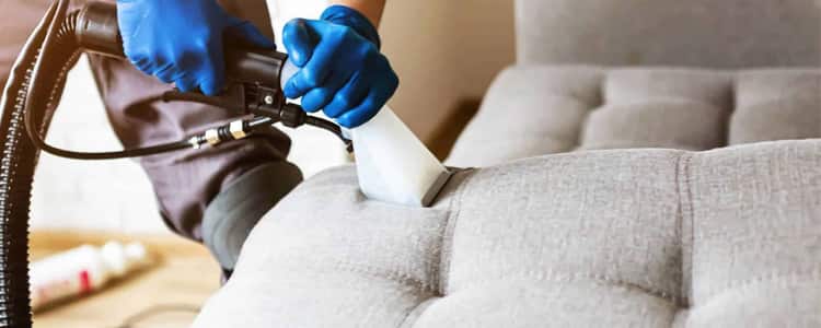 Best Upholstery Cleaning Ferntree Gully