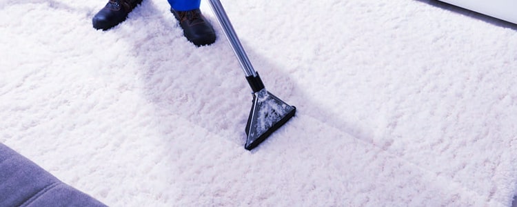 Professional End of Lease Carpet Cleaning Ferntree Gully