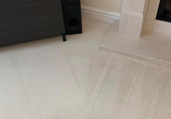 best carpet cleaning ferntree gully