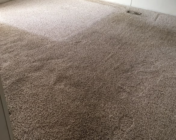 carpet cleaning ferntree gully
